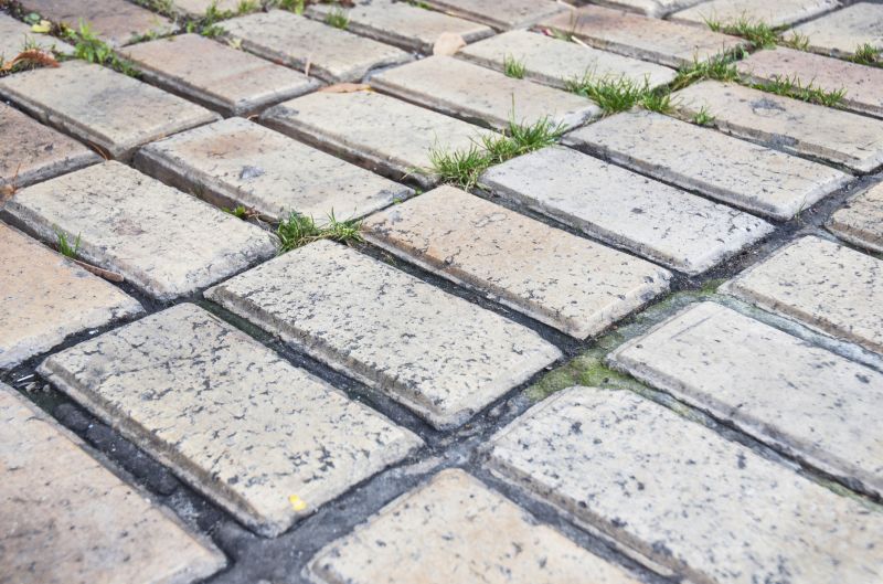 Brick Flatwork Repair in Tavares, FL