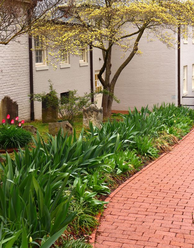 Brick Pathway Repair in Clermont, FL