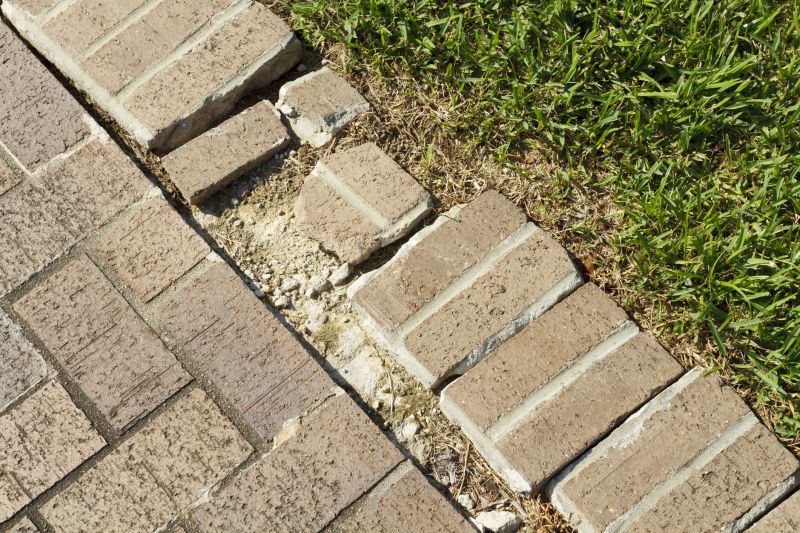 Brick Pathway Repair in Clermont, FL