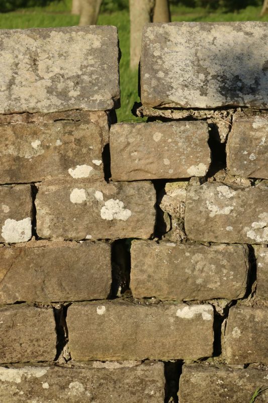 Stone Wall Repair in Eustis, FL